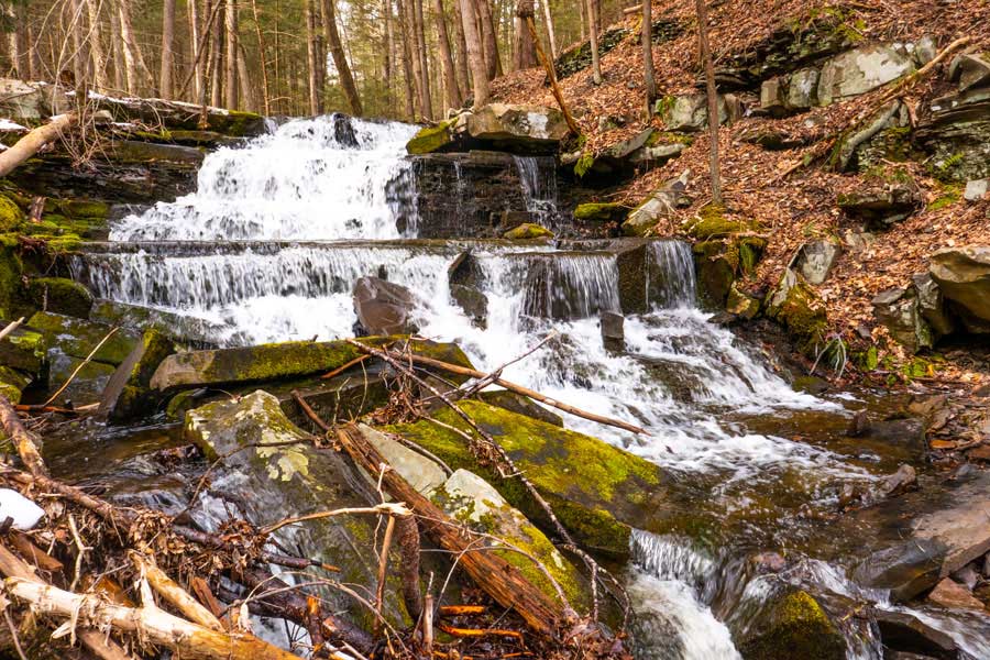 waterfall off Quilty Trail in  the Wintergreen Region of the  Bluestone Wild Forest