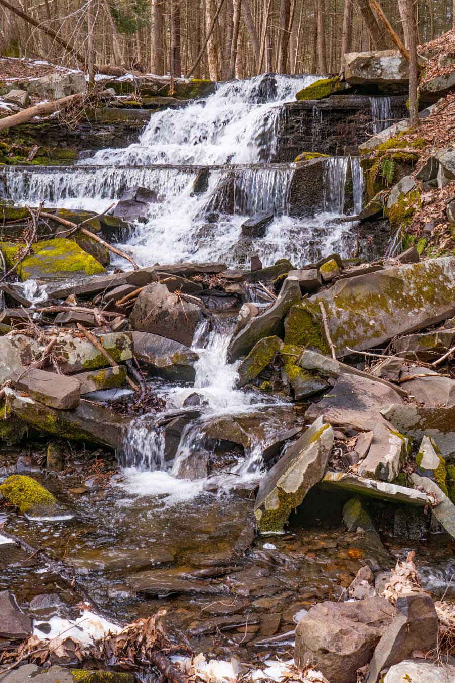 Onteora Lake in bluestone wild forest