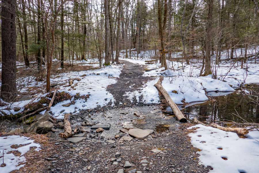 road drainage trenches on the Woods Road in the bluestone wild forest