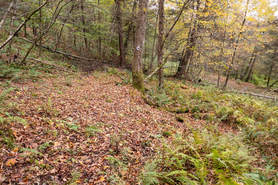another Finger Lakes Trail detour