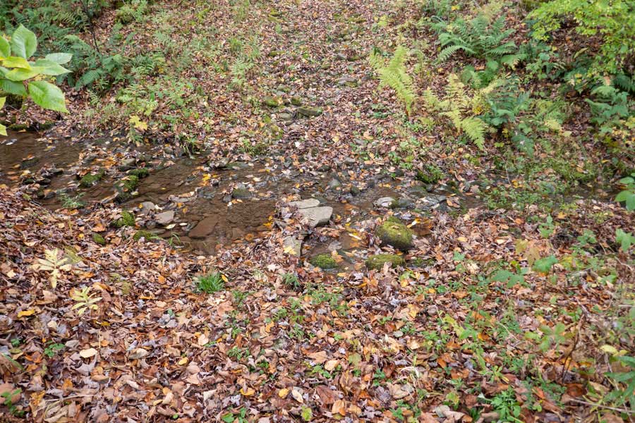 trailhead at the bottom of Finger Lakes Trail