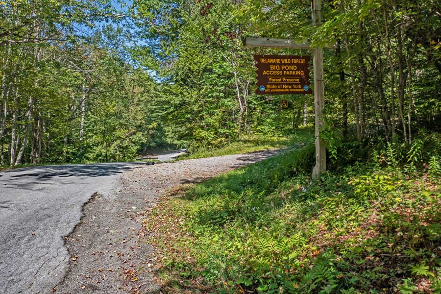 Hike down Barkaboom Road to the next section of the Touch-Me-Not Trail