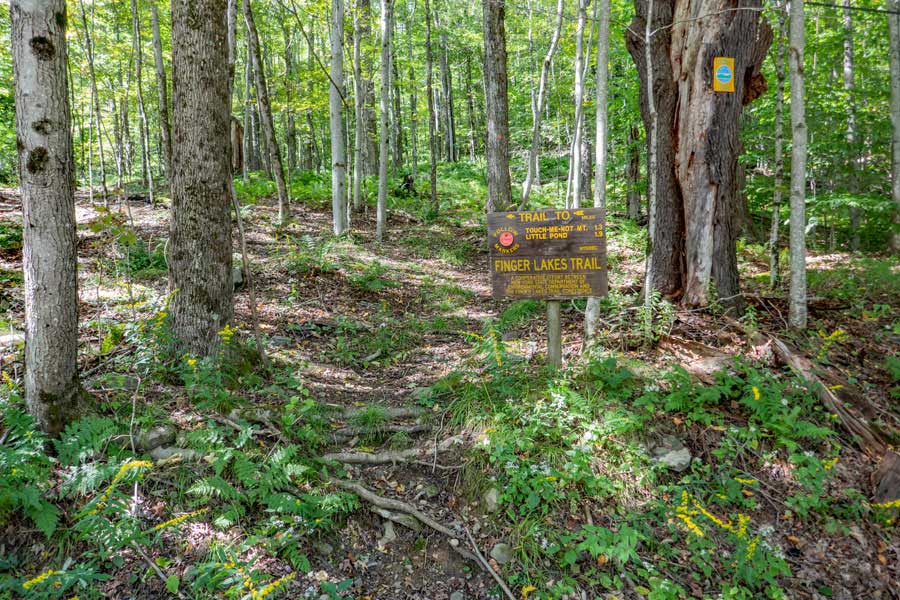 continuation of the Touch-Me-Not Trail on the west side of Barkaboom Road