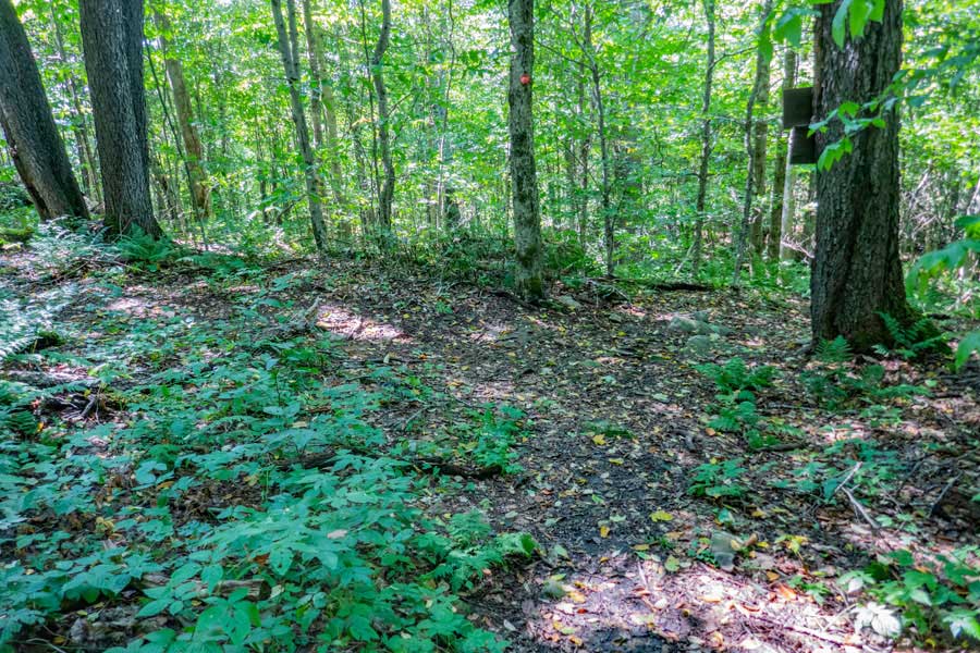 trail junction for the Campground Trail and Touch-Me-Not Trail
