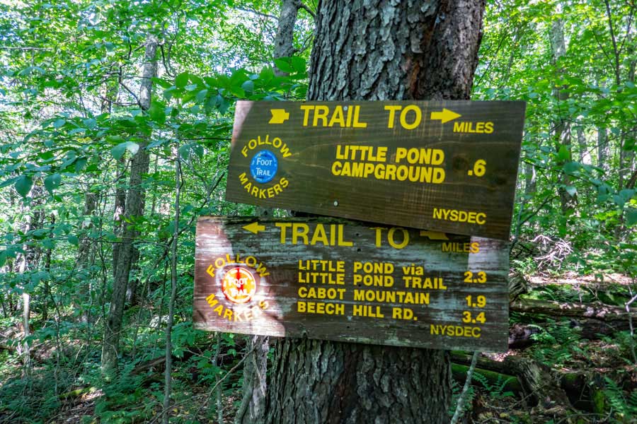 trail signs at the trail junction for Campground Trail and Touch-Me-Not Trail