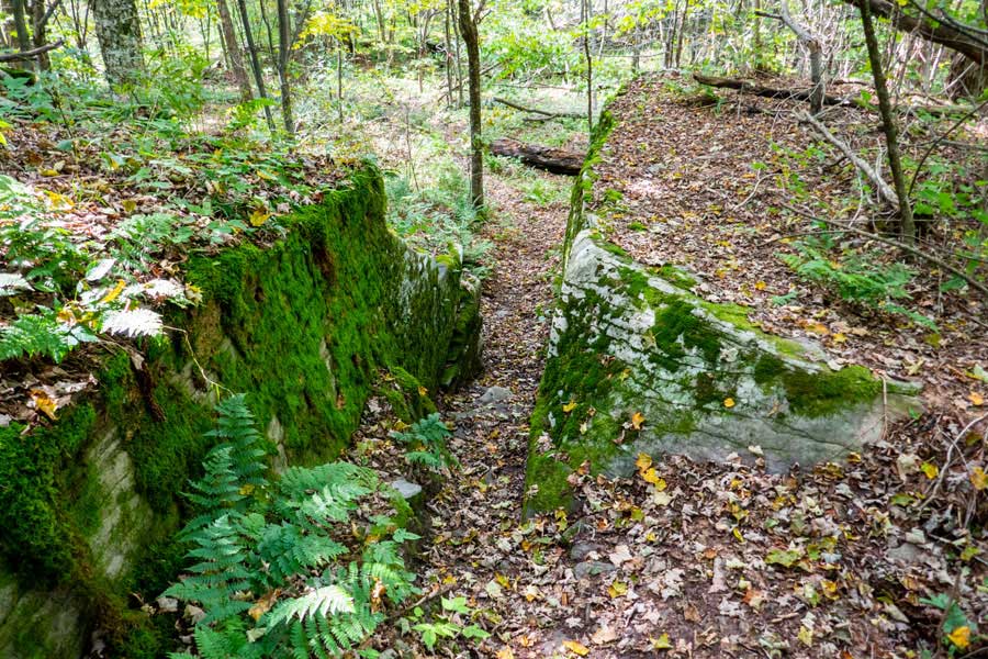 The Touch-Me-Not Trail will descend in elevation after the Campground Trail