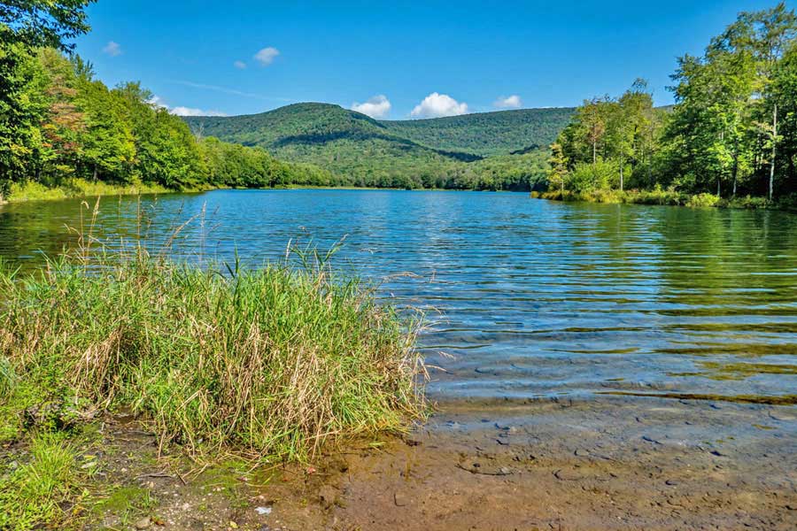 Big Pond