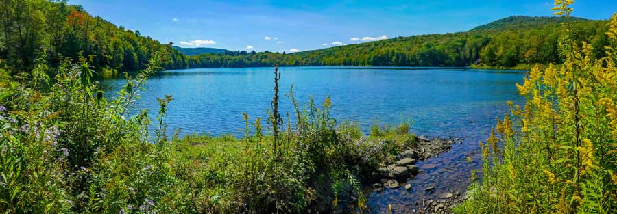 view of Big Pond looking south towards Barkaboom Road