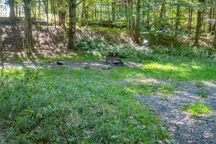 this is a handicap campsite. Listed on map as campsite #5 at Big Pond  