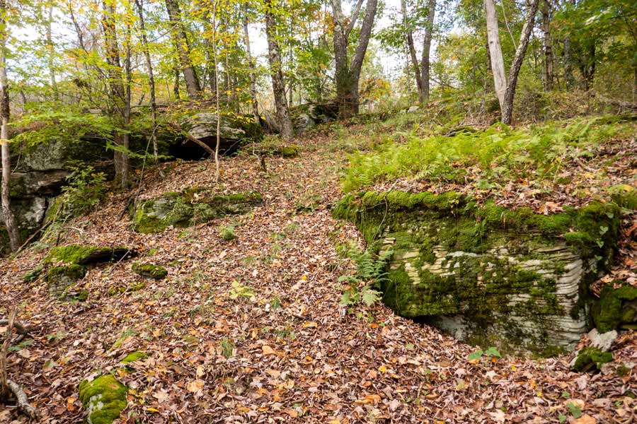 climb up the base of Brock Mountain to Flat Rock on the Campbell Mountain Trail.