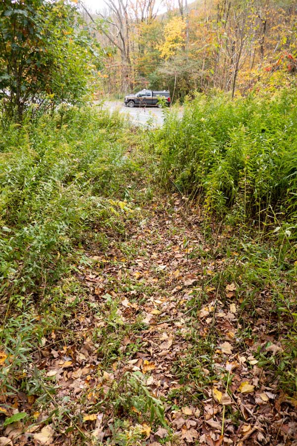 after Brock Mountain the trail descends in elevation on the Campbell Mountain Trail