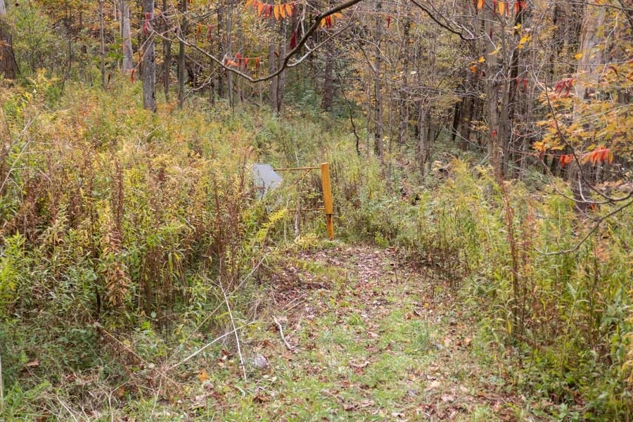 beginning of the western section of the Campbell Mountain Trail from Rt 206. Also known as Snowmobile Trail #2