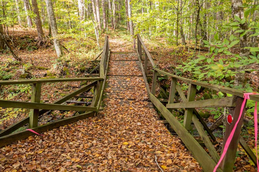 Western section of the Campbell Mountain Trail crosses Cat Hollow Creek over wooden bridge