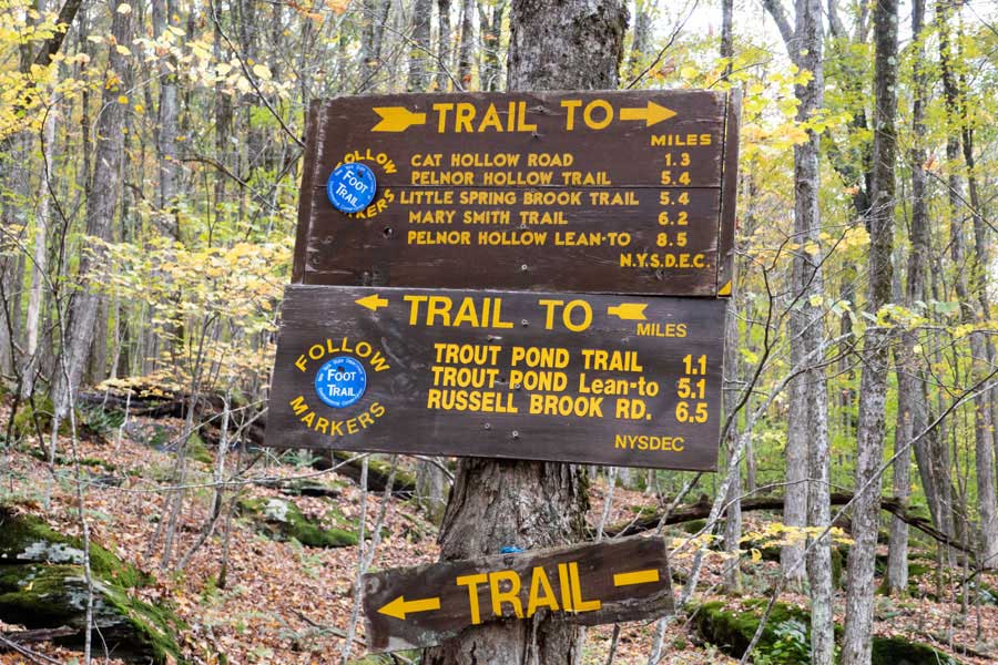 approaching the western end of the Campbell Mountain Trail along a ridge line