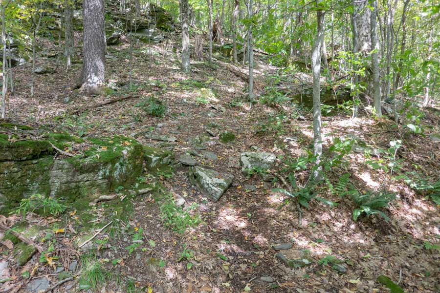 hiking from the base of Touch-Me-Not Mountain to the summit