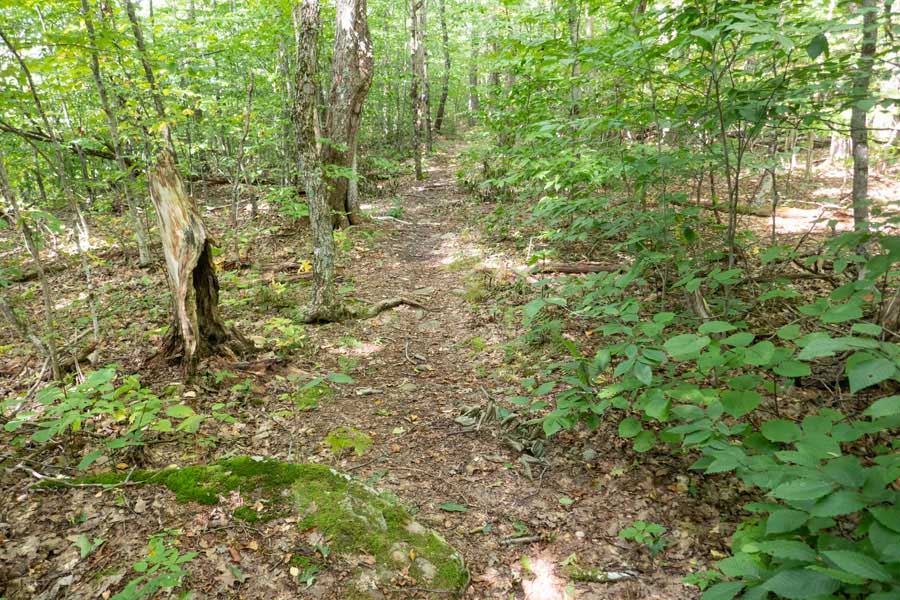 between Touch-Me-Not Mountain and the Touch-Me-Not Trail
