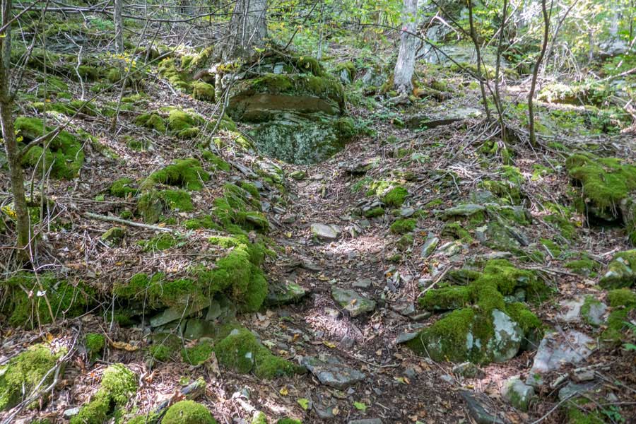 climb up the easterly base of cabot mountain on the touch-me-not trail