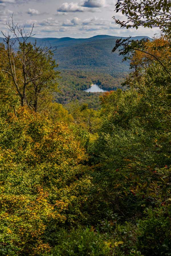 Beaverkill Lookout on the Cabot Mountain Summit region