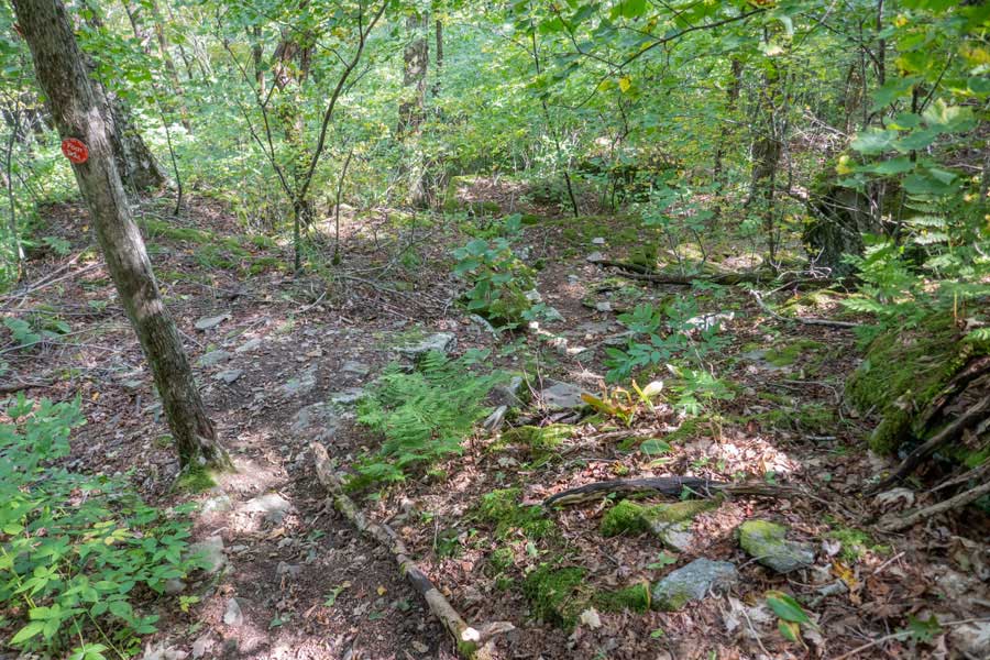Descent down the eastern side of Cabot Mountain