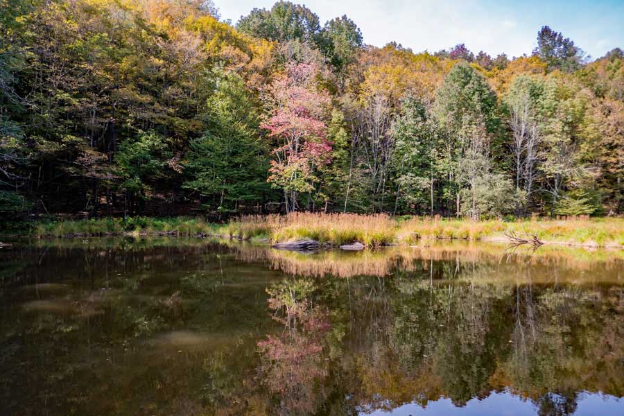 The pond on the old homestead property on the Little Pond trail