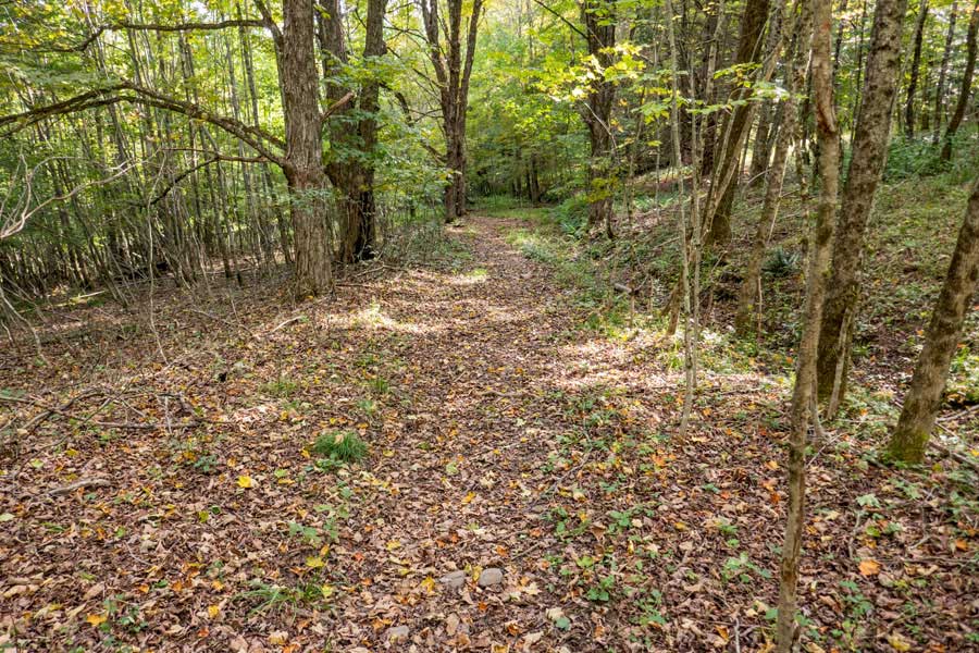 old Barnhart Road going from the old homestead which is now part of the Little Pond Trail