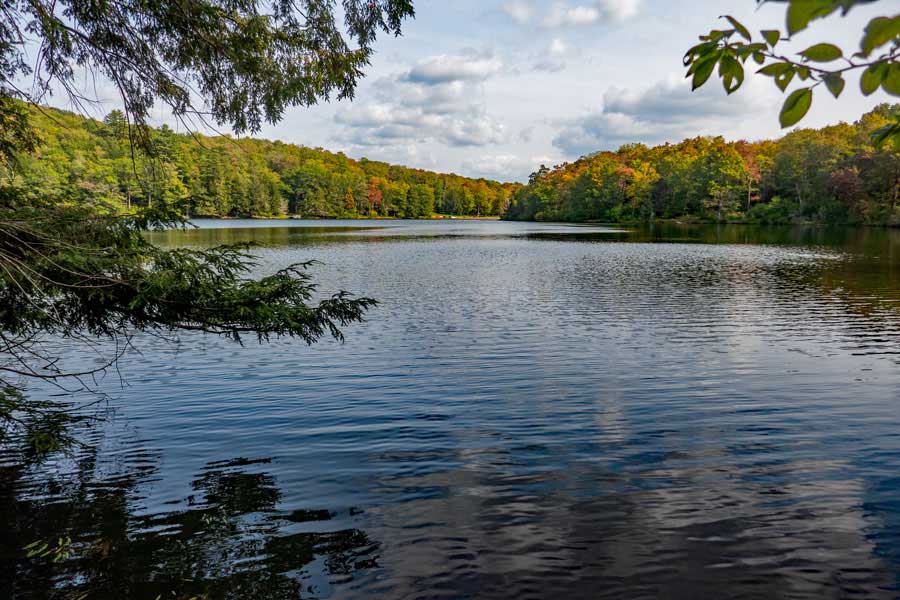 View of Little Pond from the northern end of the pond