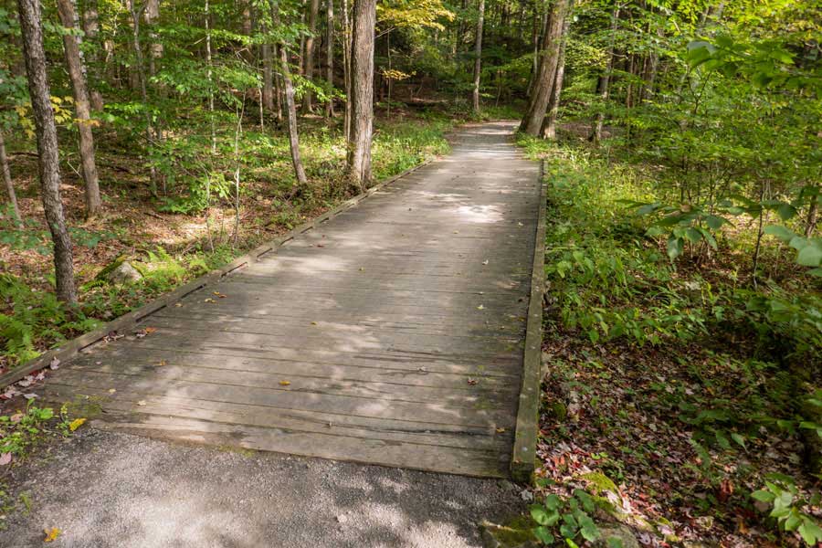 The Little Pond Nature Trail Loop
