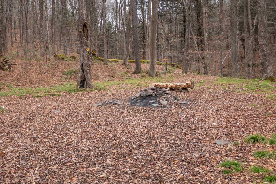 campsite #2 at Mud Pond  