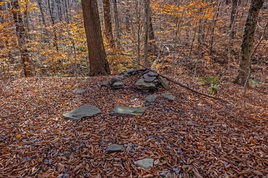 campsite #8 at Mud Pond