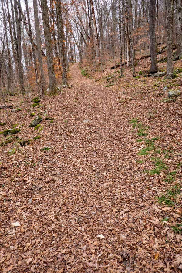 climbing up the Middle Mud Pond Trail