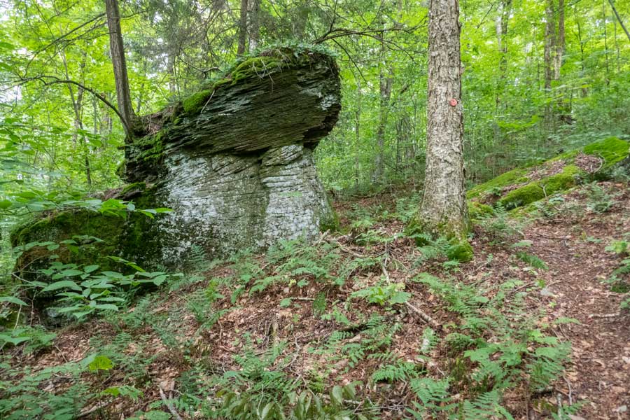 glacier erratic rock near the ridge line on the first section of the huckleberry loop trail