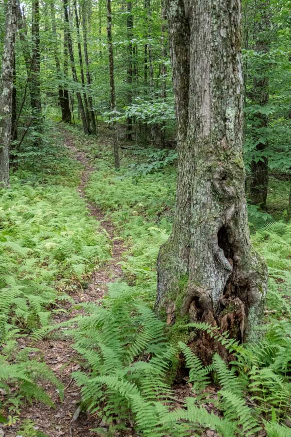 The Huckleberry Loop after the large field