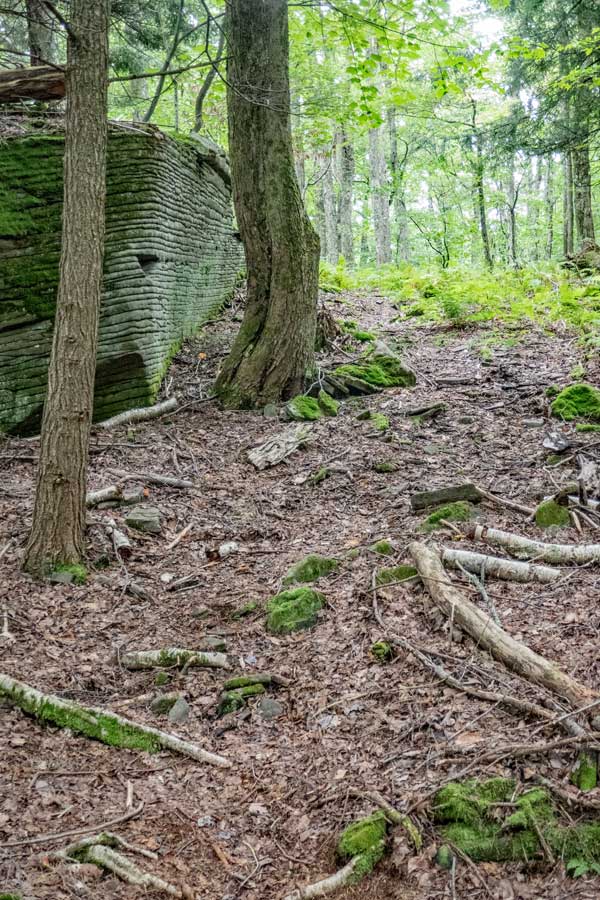 Unique large glacier erratic rock sitting on the forest floor of The Huckleberry Loop Trail