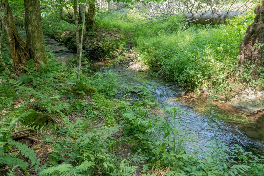 water source near Ploutz Road on the Huckleberry Loop Trail