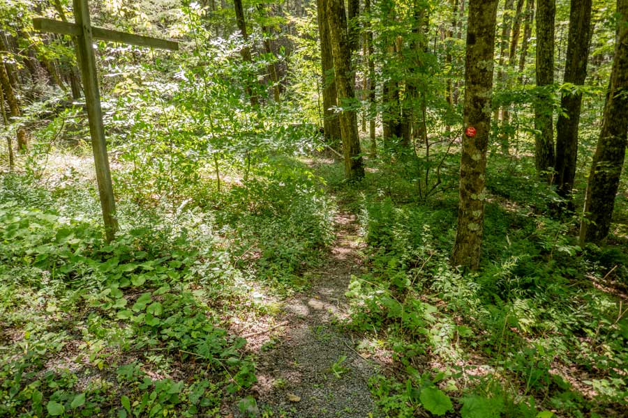 trail junction to the lower 1/3 of the northern section of the huckleberry loop trail on Hill Road