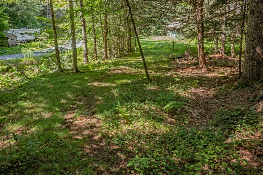 huckleberry loop trail next to the green DEC building on Huckleberry Brook Road