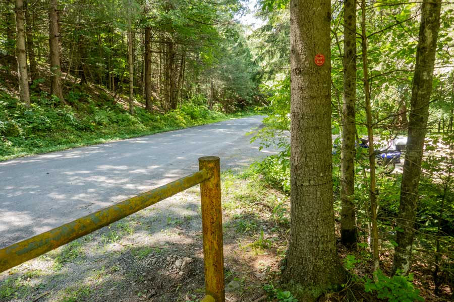 trailhead to parking area #2 on Huckleberry Brook Road