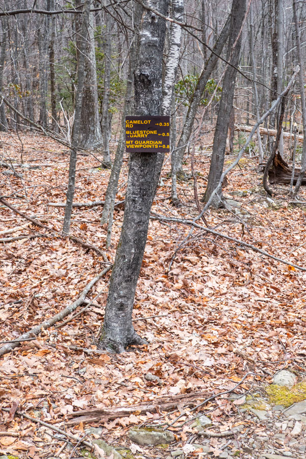 Trail junction for Mount Guardian Trail and Camden Road