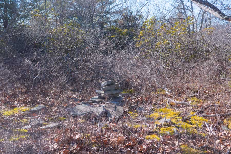 false summit of Guardian Mountain