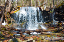 Lewis Hollow Waterfall Hike