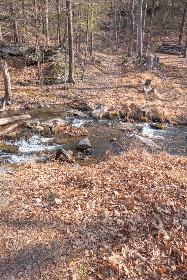 Lewis Hollow Trail Saw Kill Creek crossing