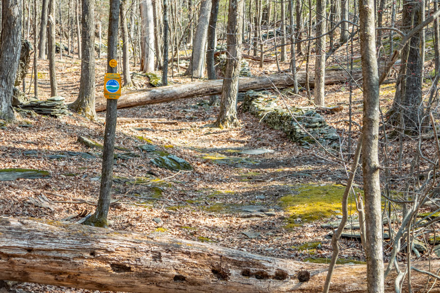 beginning of Indian Head Wilderness on NYS land in the Lewis Hollow