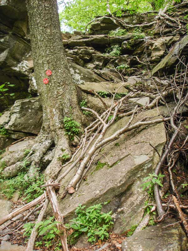 steep section down the western side of Sugarloaf Mountain