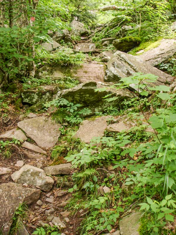 steep section down the western side of Sugarloaf Mountain