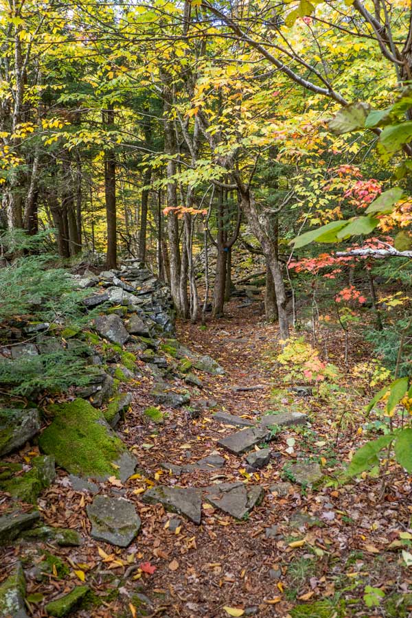 Parts of Dibble's Quarry in the forest