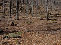 Kaaterskill Mountain Range