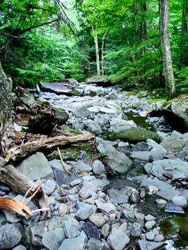 trail down to plattekill falls