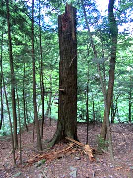 plattekill falls