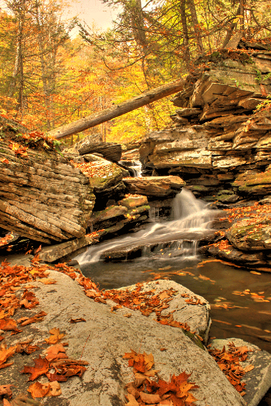 bridal veil falls in Hell's Hole