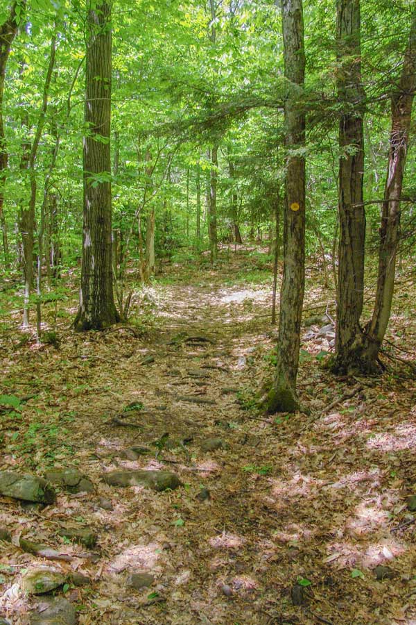 beginning of the Huckleberry Point Trail